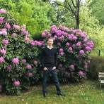 Norman Hamann - Facebook
