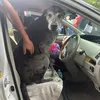 ethan.norman_ - @ethan.norman_8 - TikTok