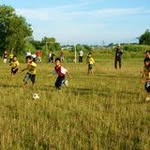 Norman Han - @normnhan - Instagram