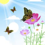 Norman Han - Facebook