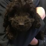 Ranger Norman Harding - @ranger_harding - Instagram