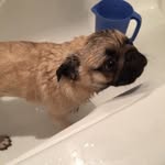 Norm Hartman - @norm_hartman7 - Instagram