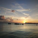 Norman Haughton - @norman.haughton - Instagram