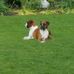 Normand Hebert - Facebook