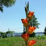 Norman Helmstetler - @normanhelmstetler - Instagram