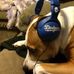 Norman Hess - Facebook