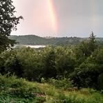 Norman Hines - @norman.hines - Instagram