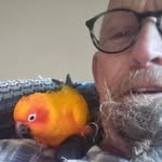 Norman Ingram - @stormoftheranch - Instagram