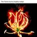 Norman Richard Jansen - Facebook