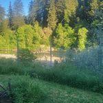Normaray ÀndRichard Fuller - @normanjensen - Instagram