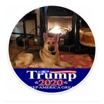 Norman Kee - @crazy_horse_818 - Instagram