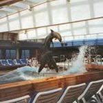 Norman Lakey - @normanlakey - Instagram