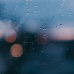 Norman Lamm - @normanlamm2460 - Instagram