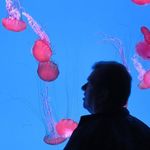 Norman Landry - @norman.landry.9 - Instagram