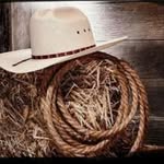 norman - @norman_larson22 - Instagram