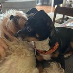 Norman Leblanc - @norman.411 - Instagram