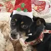 Norman Leblanc - @norman.leblanc2 - TikTok
