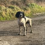 Lilly Hepworth Norman - @normanlillyhepworth - Instagram