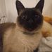 Lilly Norman - Facebook