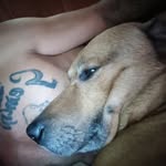 Norman Locker - @norman.locker.39 - Instagram