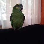 Norman Gabriel Lorenz - @normangabrielorenz - Instagram