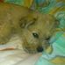 Norman Lorenz - Facebook