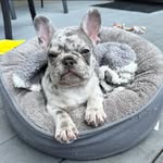 Norman Lowery - @nlowery20 - Instagram