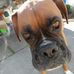 Norman Lundquist - Facebook