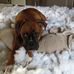 Norman Lundquist - Facebook