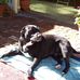Norman Lunt - Facebook