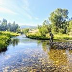 Norman - @norman_maclean_ - Instagram