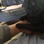 Norman Manning - @normanmanning600 - Instagram