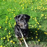 Norman Marks - @norman.marks.395 - Instagram