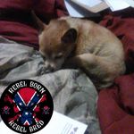 Norman Marks - @norman.marks.710 - Instagram