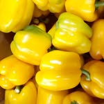 Norman Mata - @mata.bells.pepper - Instagram
