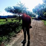 Norman Mata - @norman.mata.547 - Instagram