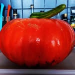 Frederic Norman Mayer - @normanblue74 - Instagram
