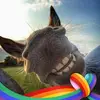 stacymccarthynorman - @stacymccarthynorman - TikTok