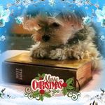 Susan Norman Mcclain - @susan.n.mcclain - Instagram