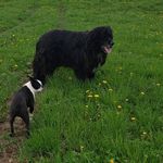 Sherry Norman McClure - @sherrynorman1802 - Instagram