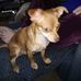 Norman McEachern - Facebook