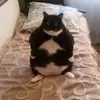 Norman Blumeier - @normanblumeier - TikTok