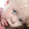 Norman Messer - @norman.messer1 - TikTok