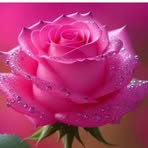 Nermen MMarof - Facebook
