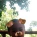 Norman Mobley - Facebook
