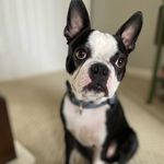 Norman Monroe - @normanmonroe_ - Instagram