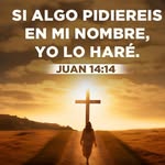 Norman Muñoz - @normanmunyoz - Instagram