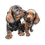Norman and Nessy’s Wardrobe - @normanandnessys_wardrobe - Instagram