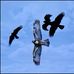 Norman Orr - Facebook