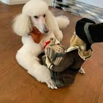 Norman Osman - @norman_osman._5 - Instagram